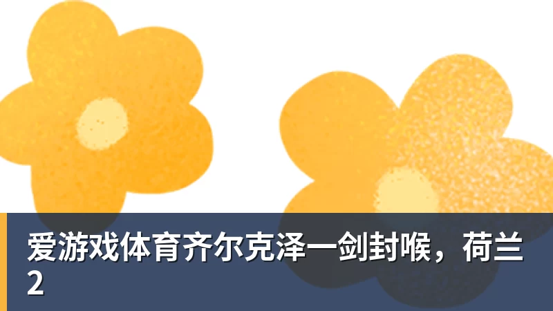 爱游戏体育齐尔克泽一剑封喉，荷兰2