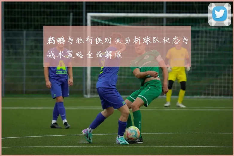 鹈鹕与独行侠对决分析球队状态与战术策略全面解读